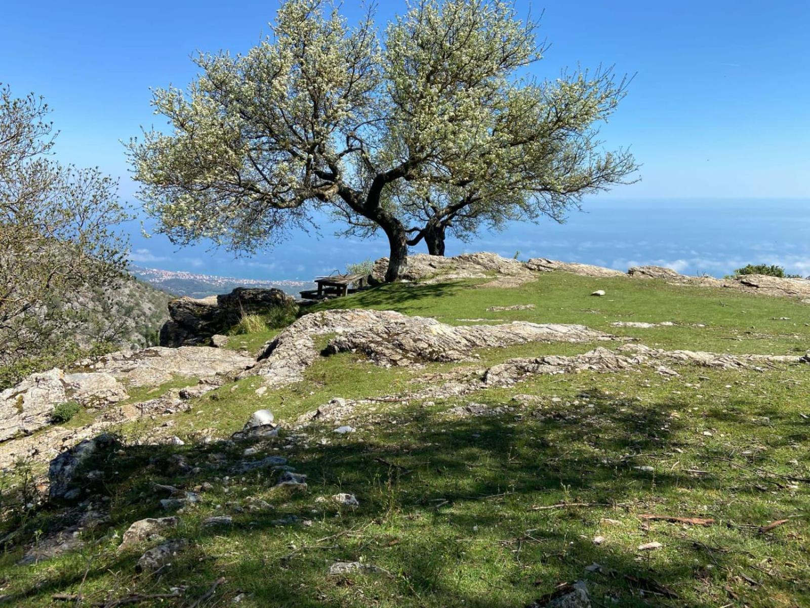 Casa Ohana Ceriale Open Space 4 Persone Εξωτερικό φωτογραφία